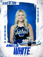 West Ridge Senior Banners 2025-2026