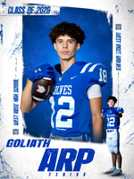 GOLIATH ARP SENIOR BANNER 2025 copy