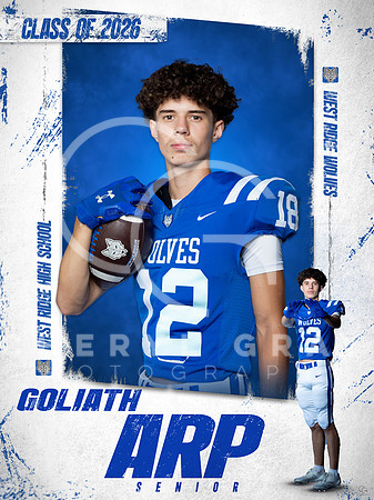 GOLIATH ARP SENIOR BANNER 2025 copy