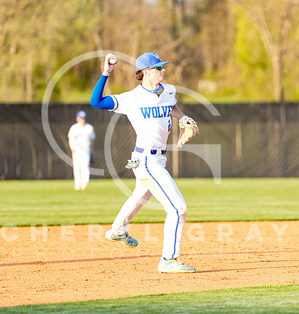 ©CGP 041425 Daniel Boone @ West Ridge 06605