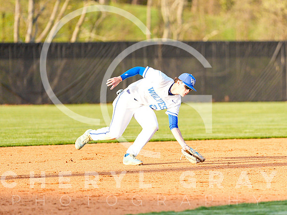 ©CGP 041425 Daniel Boone @ West Ridge 06596