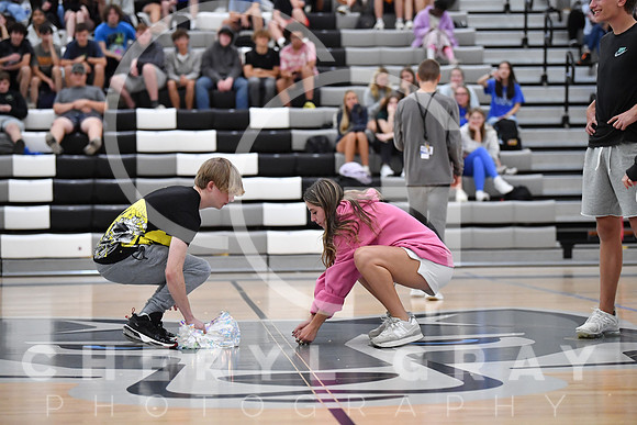 ©CGP 091224 HOCOgames 2010