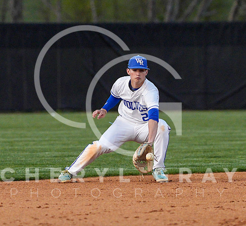 ©CGP 041425 Daniel Boone @ West Ridge 07955
