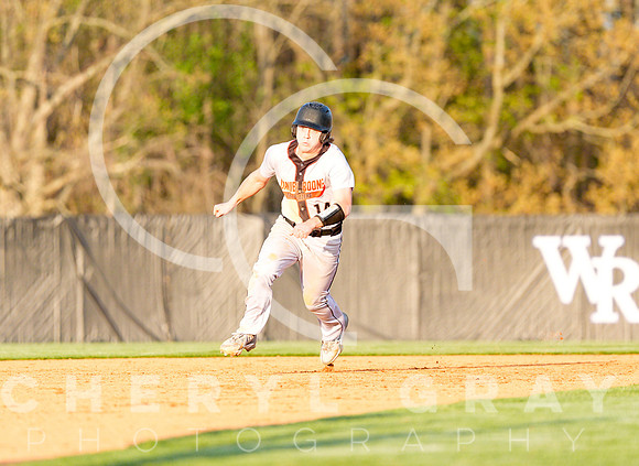 ©CGP 041425 Daniel Boone @ West Ridge 06366