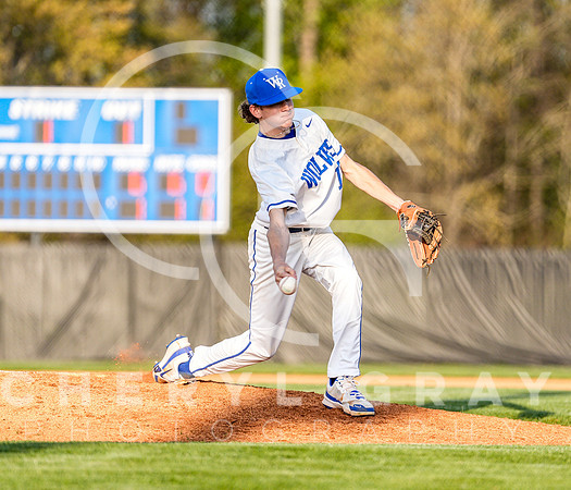 ©CGP 041425 Daniel Boone @ West Ridge 05763