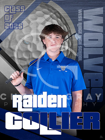 RAIDEN COLLIER copy