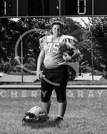 ©CGP LGfootball 00013_crop__bw_