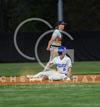 ©CGP 041425 Daniel Boone @ West Ridge 08248