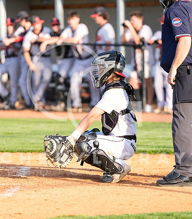 ©CGP 041425 Daniel Boone @ West Ridge 05398