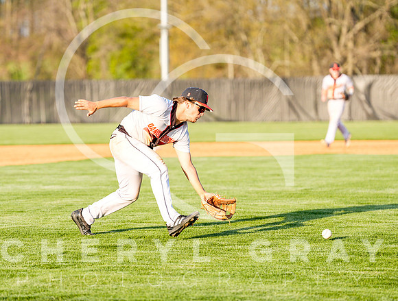 ©CGP 041425 Daniel Boone @ West Ridge 05879