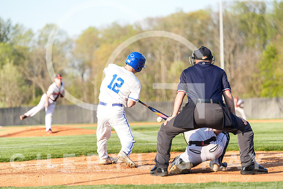 ©CGP 041425 Daniel Boone @ West Ridge 05334
