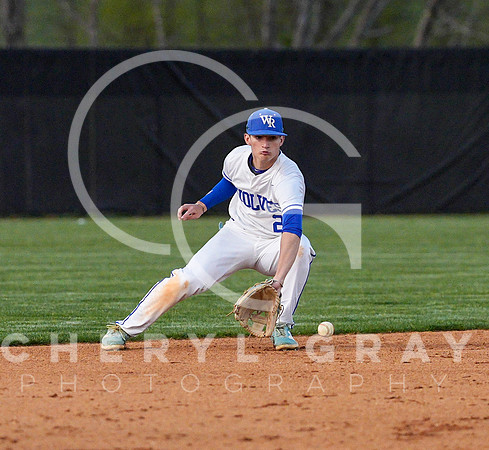 ©CGP 041425 Daniel Boone @ West Ridge 07952