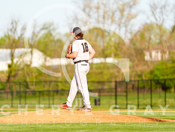 ©CGP 041425 Daniel Boone @ West Ridge 06180