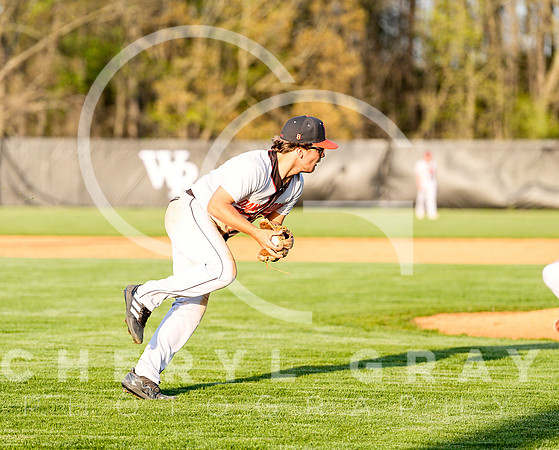 ©CGP 041425 Daniel Boone @ West Ridge 05884