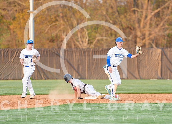 ©CGP 041425 Daniel Boone @ West Ridge 07111