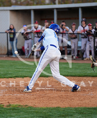 ©CGP 041425 Daniel Boone @ West Ridge 07236