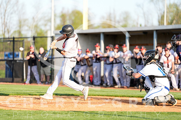 ©CGP 041425 Daniel Boone @ West Ridge 05648