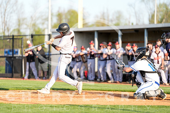 ©CGP 041425 Daniel Boone @ West Ridge 05649