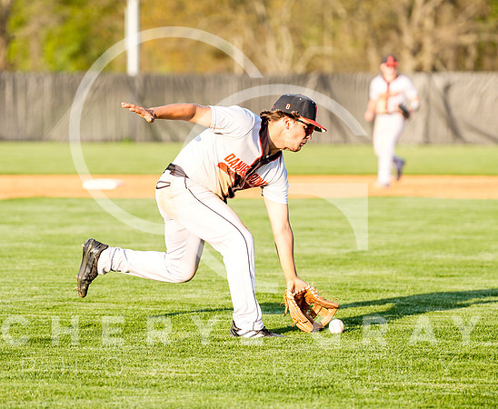 ©CGP 041425 Daniel Boone @ West Ridge 05880