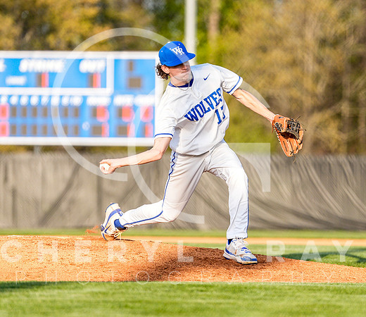 ©CGP 041425 Daniel Boone @ West Ridge 05760