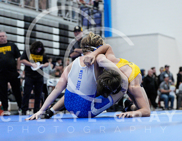 ©CGP 111624 Wolfpack Preview_5940